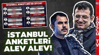 Anketlerde Ekrem İmamoğlu Rüzgarı Nevzat Çiçek İstanbuldaki Son Anketleri Açıkladı