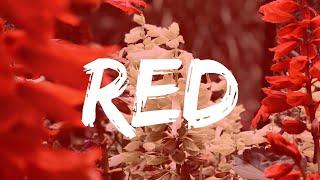 Red - Lyric Video