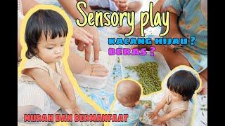 Ide Bermain Anak untuk Sensory Play Menggenggam Beras dan Kacang Hijau