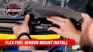 E85 Flex Fuel Sensor - How To Install Tech Tip Tuesday featuring El Toro