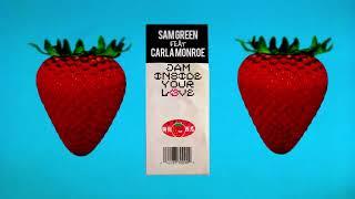 Sam Green Feat. Carla Monroe  - Jam Inside Your Love Visualiser