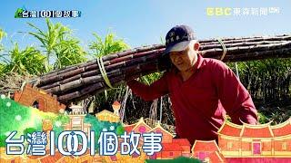 台灣東岸最後紅甘蔗田 保留傳統人力作業  part1 台灣1001個故事｜白心儀