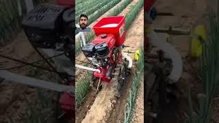 Explore Farming #farmlife #framing #shorts #youtubeshorts #explorefarming #Agriculture