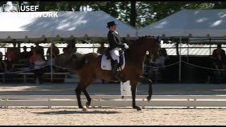 What does a passage look like in Dressage?