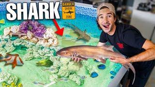 FINALLY ADDING SHARKS To My SALTWATER POND *dangerous*