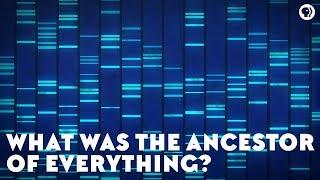 What Was the Ancestor of Everything? feat. PBS Space Time and It’s Okay To Be Smart
