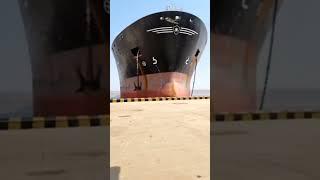 OMGBiggest Ship Accident️️ #shorts #shortsvideo