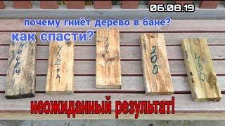 Почему гниет древесина в бане чем ее обработать? Эксперимент результат шокирует