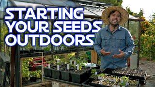 Starting All Your Seeds Outside  What To Expect