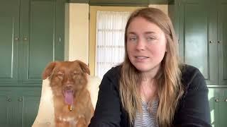 What I Feed My Dog in a Day - Toller Retriever Edition