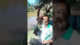 Part 2 Ternyata mancing rame rame itu lebih seru teman teman #short #mancing #ikannila