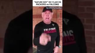 Falcons Pride  The Nature Boy