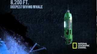 The Life Aquatic with James Cameron - Mariana Trench Dive