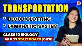 *BLOOD CLOTTING * LYMPHATIC SYSTEM  Transportation  Class 10  AP & TS Stateboard  CBSE  Sunaina