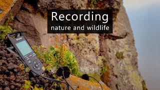 Field recording nature and wildlife with mini drop rigs