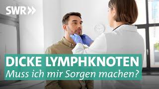 Lymphknoten Lymphom Lymphödem - So wichtig ist das Lymphsystem  Doc Fischer SWR
