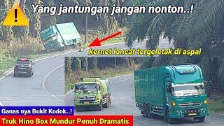 Ganas nya bukit kodok truk Hino box mundur penuh dramatis