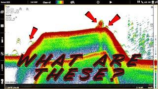 Fish Finder Explained For Beginners Sonar Side Imaging Down Imaging Mapping Tricks