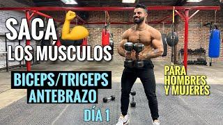 Rutina de BRAZOS entrena tus Bíceps Tríceps y Antebrazos 25 Min Ejercicios para SACAR LOS MUSCULOS