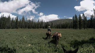 Three days on horseback in central Oregons Eight Lakes Basin