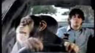 Monkey driving - HILARIOUS pepsi ad.
