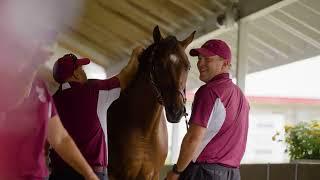 2024 September Yearling Sale