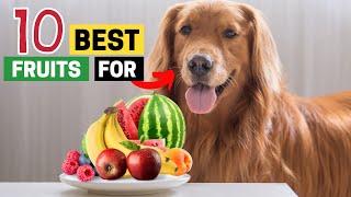 10 Best Fruits for Golden Retrievers