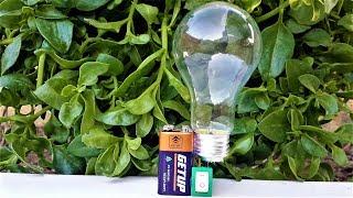 Free Energy Light Bulbs - 220v using 9v Battery