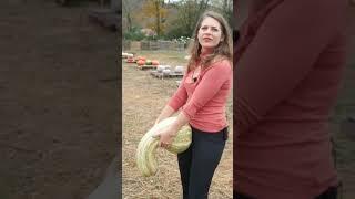 Millennial Mom LOSES Her Kids in a Pumpkin Patch #fall #momlife
