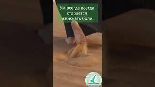 Лечебная Физкультура при болях