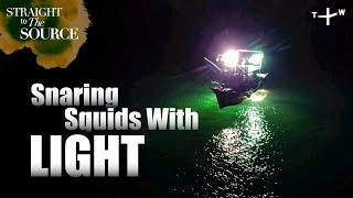 Catching Squids With Fish-Gathering Light in Taiwan  Straight to the Source Ep.10