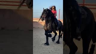 Girl dreassase horse. little girl horse ride. #horsegirl #ghoda #horse #horselover #horses #ghodi