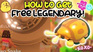 How to Get FREE  Golden Tortoise Beetle In Adopt Me  #adoptmepreppy