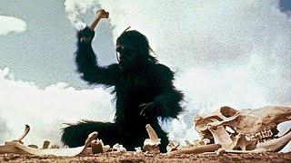 Ape to Man - Evolution of the First Humans - Full Documentary