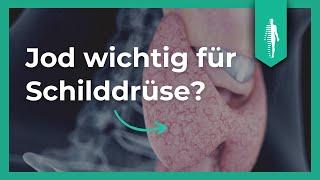 Jod für die Schilddrüse? Das solltest Du wissen Nährstoffe  Kyra Kauffmann