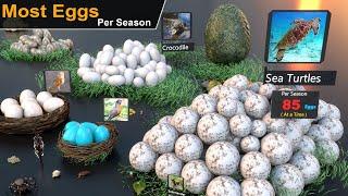 Number of Eggs Lays by Animal  Birds  Insects  Animal egg Production comparison