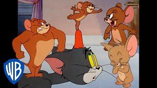 Tom & Jerry  Jerry in Full Force   Classic Cartoon Compilation  @WB Kids