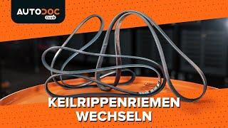 Keilrippenriemen wechseln AUTODOC TUTORIAL