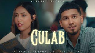 Gulab - Karan Randhawa  Srijan Chanta  Lofi Editz  Slowed + Reverb