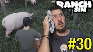 RANCH SIM ep.30 CAOS EN LA GRANJA  GAMEPLAY ESPAÑOL