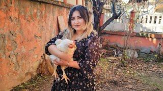 Village Cooking with Freshly Slaughtered Chicken