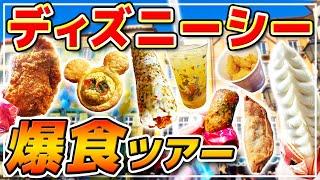 【爆食】これさえ食べておけば間違いない絶対においしい定番お手軽グルメを食べまくる1日  東京ディズニーシー