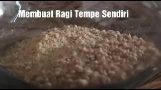 Cara Membuat Ragi Tempe Sendiri Dengan 2 Bahan Dapur