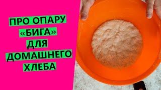 Biga sourdough for homemade bread how to make it how to store it and how to use it