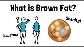 Breaking Down Brown Fat - Treatment for Obesity & Diabetes