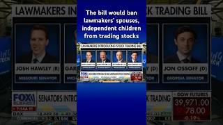 Bipartisan group of senators look to ban lawmaker stock trading with new bill #shorts