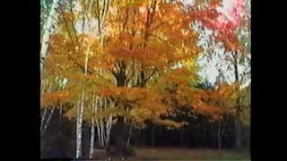 Mitch & Norma Singing in the Woods - 1985