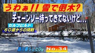 【No.34】60歳からの挑戦セルフビルドでログハウスを建てる／雪で倒木　手ノコで切るしかないか