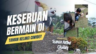 Memberi makan Kelinci Di tempat wisata taman kelinci ciwidey #tamankelinciciwidey #funny #kids