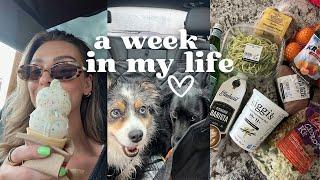 weekly vlog  days at home life chats